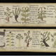 Illustration for article titled Feast your eyes on this treasure trove of old medical illustrations